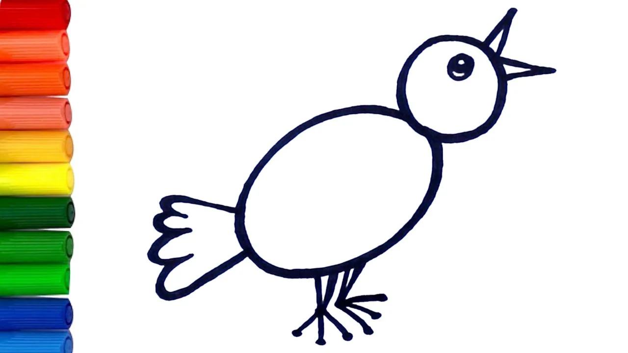 How to Draw and Color Simple Bird