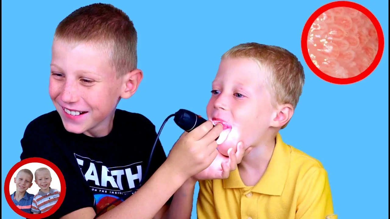 Common Objects Under The Microscope.Home magnification experiments with Mike and Jake 